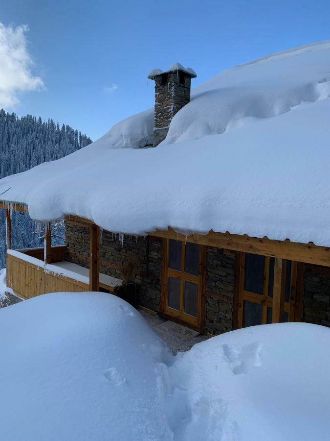Skyline Villa Rental Нарканда Экстерьер фото